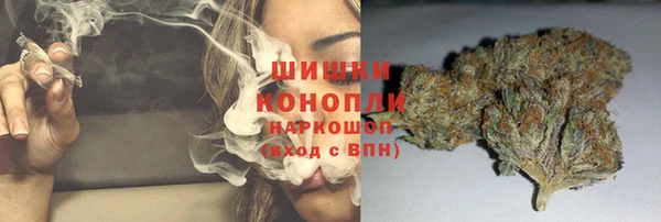 прущие грибы Алексин