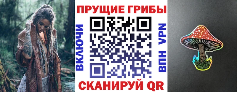 Галлюциногенные грибы Cubensis  кракен вход  Сольвычегодск  как найти закладки 