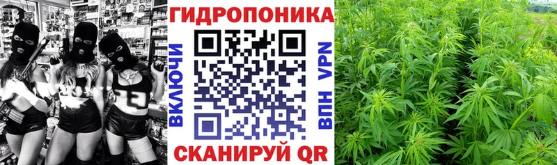 Конопля Amnesia  Сольвычегодск 